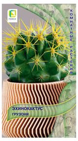 Изображение товара Семена «Поиск» Эхинокактус Грузони, 10 шт
