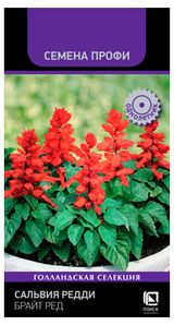 Изображение товара Семена «Поиск» Сальвия Редди Брайт Ред, 10 шт