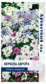 Изображение товара Семена «Поиск» Вербена Аврора Смесь окрасок, 10 шт