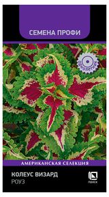 Изображение товара Семена «Поиск» Колеус Визард Роуз, 10 шт