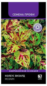 Изображение товара Семена «Поиск» Колеус Визард Мозаик, 10 шт