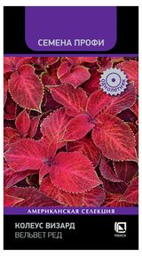 Изображение товара Семена «Поиск» Колеус Визард ред, 10 шт