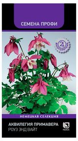 Изображение товара Семена «Поиск» Аквилегия Примавера Роуз энд вайт, 5 шт
