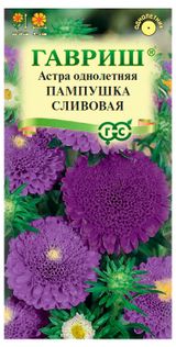 Изображение товара Семена «Гавриш» Астра Пампушка сливовая, 0,3 г