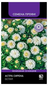 Изображение товара Семена «Поиск» Астра Сирена Белая, 0,5 г