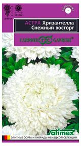 Изображение товара Семена «Гавриш» Астра Хризантелла Снежный восторг, 0,05 г