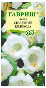 Изображение товара Семена «Гавриш» Кобея лазящая Свадебные колокола, 5 шт