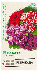 Изображение товара Семена «Гавриш» Глоксиния Брокада F1, 4 шт