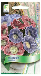 Изображение товара Семена «Поиск» Глоксиния Жаклин, 5 шт