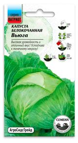 Изображение товара Семена «от Октябрины Ганичкиной» Капуста белокочанная Вьюга, 0,3 г