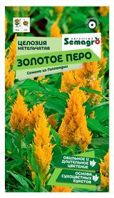 Изображение товара Семена Seminis Целозия метельчатая Золотое перо