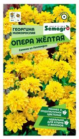 Изображение товара Семена Seminis Георгина низкорослая Опера желтая