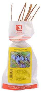 Изображение товара Саженцы «Поиск» Жимолость съедобная, 1 шт