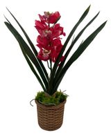 Изображение товара Цветок искусственный Орхидея, 60х12х47 см