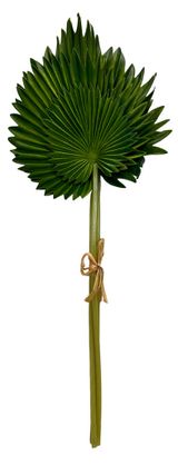 Изображение товара Лист пальмы искусственный, 46 см