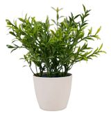 Изображение товара Бонсай искусственный