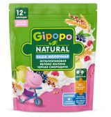 Изображение товара Каша сухая молочная детская Gipopo Мультизлаковая яблоко, малина и черная смородина с 12 мес., 200 г