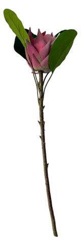 Изображение товара Цветок искусственный Орхидея 52 см, 1 шт в ассортименте