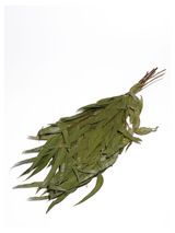 Изображение товара Веник банный «ГлавБаня» эвкалиптовый оригинальный, 1 шт