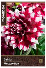 Изображение товара Георгина декоративная My Garden Мистери Дэй, 1 шт