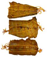 Изображение товара Масляная рыба холодного копчения «Олива» хребты, вес