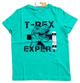 Изображение товара Футболка для мальчика InExtenso зеленая