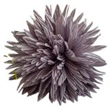 Изображение товара Брошь-заколка Golden Tree Астра, 1 шт