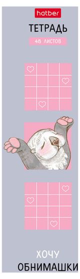 Изображение товара Тетрадь Hatber в клетку А5, 48 л в ассортименте