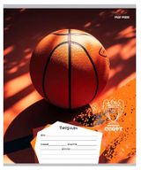 Изображение товара Тетрадь Profit Мячи в клетку А5 18 л, 1 шт в ассортименте