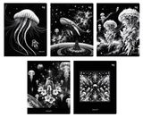 Изображение товара Тетрадь BG Медуза в клетку А5 48 л, 1 шт в ассортименте