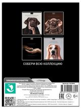 Изображение товара Тетрадь «ПЗБМ» Посмотри на меня в клетку А5, 48 л в ассортименте