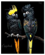 Изображение товара Тетрадь BG Животные А5 клетка, 48 л в ассортименте