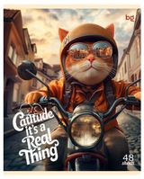 Изображение товара Тетрадь BG Коты А5 клетка, 48 л в ассортименте