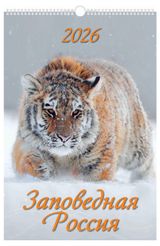 Изображение товара Календарь настенный перекидной «Дитон» Заповедная Россия А3 2026 г с ригелем, 320х480 мм