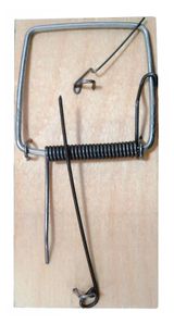 Изображение товара Крысоловка деревянная, 150х75 мм