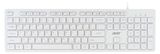 Изображение товара Клавиатура Acer OKW123 белая