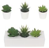 Изображение товара Суккулент в горшке искусственный 12 см, 1 шт в ассортименте