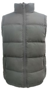 Изображение товара Жилет утепленный мужской InExtenso серый