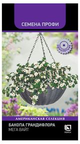 Изображение товара Семена «Поиск» Бакопа Грандифлора Мега Вайт, 5 шт