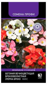 Изображение товара Семена «Поиск» Бегония Этерна Бронз Микс, 10 шт