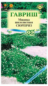 Изображение товара Семена «Гавриш» Мшанка Сюрприз, 0,01 г