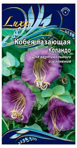 Изображение товара Семена «Ваше хозяйство» Кобея лазающая Коландо, 5 шт