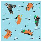 Изображение товара Бумага упаковочная для подарков Be Smart Holidays 70х100 см, 1 шт в ассортименте