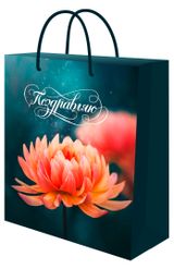 Изображение товара Пакет подарочный Miland Optima 11,5х14,5х6 см, 1 шт в ассортименте