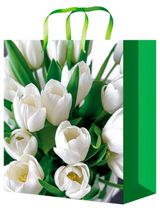 Изображение товара Пакет подарочный Miland Стандарт Цветы 26,4х32,7х13,6 см, 1 шт в ассортименте