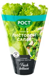 Изображение товара Салат Листовой в горшочке, 1 штука