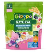 Изображение товара Каша сухая молочная детская Gipopo Мультизлаковая яблоко, малина и черная смородина с 12 мес., 200 г