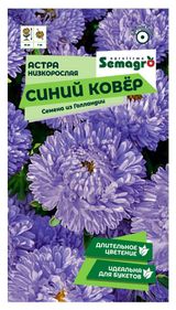 Изображение товара Семена «СамАгро» Астра низкорослая Синий ковер, 0,2 г