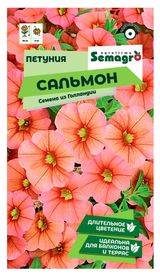 Изображение товара Семена «СамАгро» Петуния Сальмон, 0,1 г