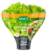 Изображение товара Салат Кудрявый Джаз в горшочке, 1 штука